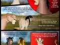 tlk_the_outcast_43_by_savu0211-d308w4k.jpg